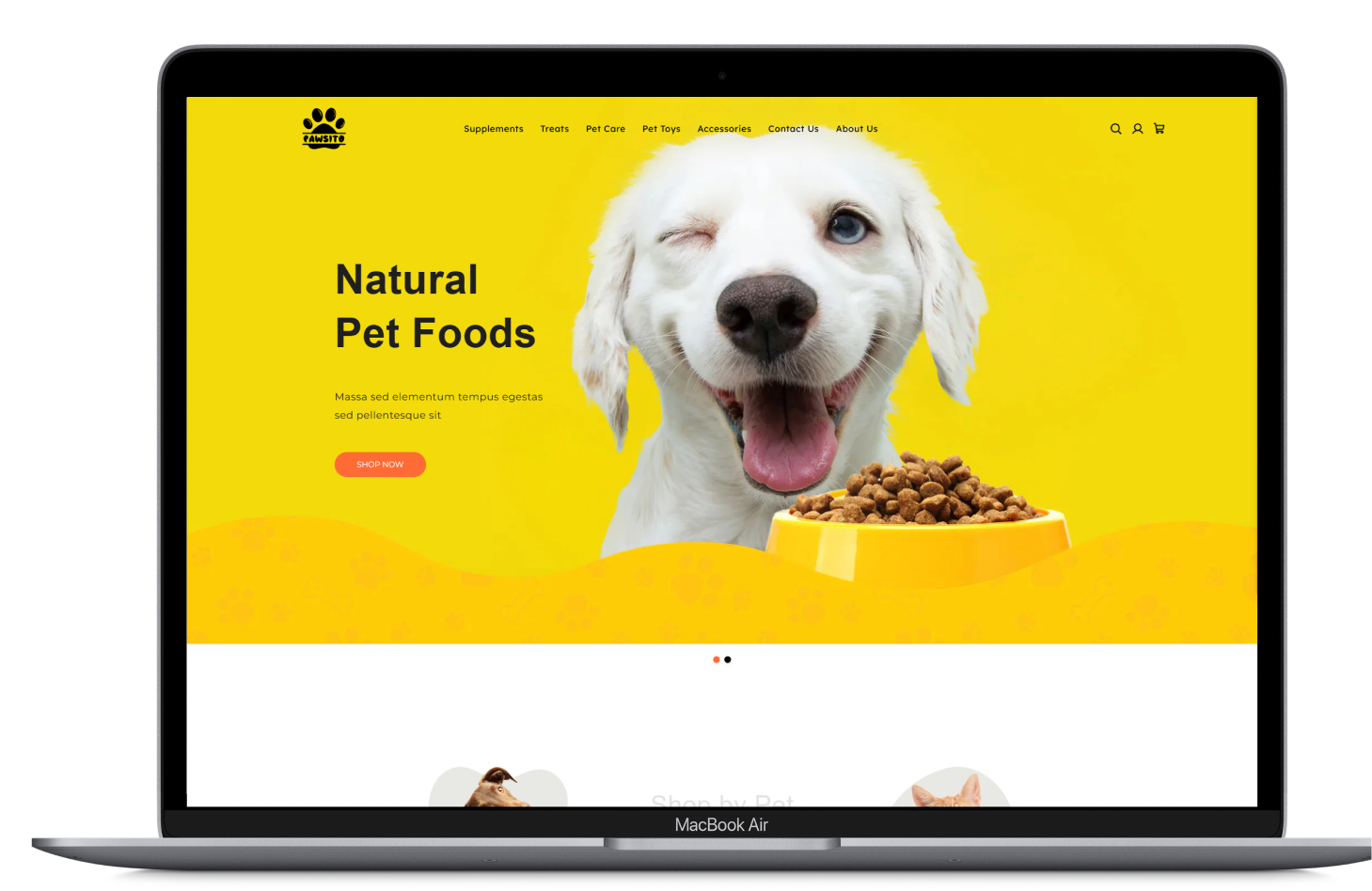 Web Design & Development for Pet Shop