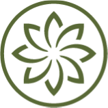 Digital Services for Lotus Construction Company