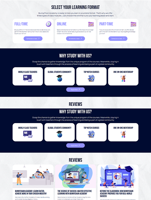 BunnyChain Academy – Custom Laravel Learning Platform Development & SEO