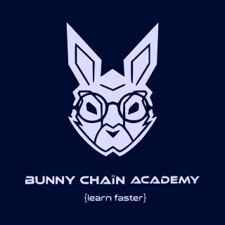 BunnyChain Academy – Custom Laravel Learning Platform Development & SEO
